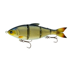 Click to view full image Live Shiner