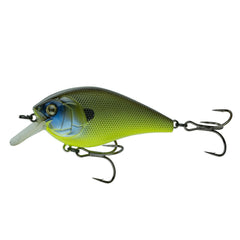 Green Pumpkin Gill