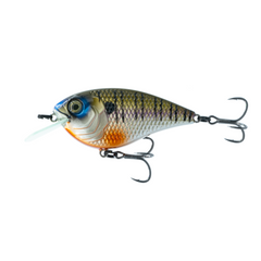 4K Bluegill