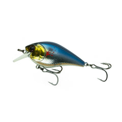 Bleeding Shad