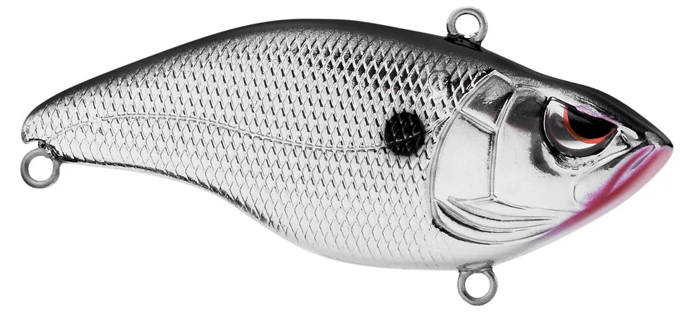 Aruku Shad