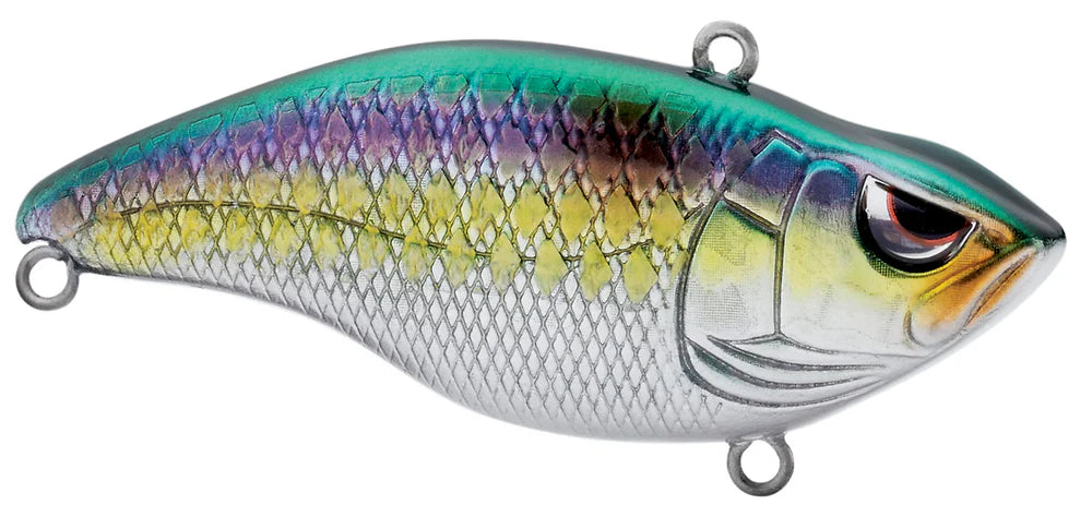Aruku Shad