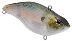 Spooky Shad