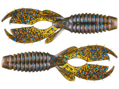 Tilapia