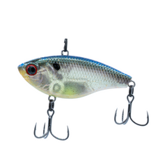 Hologram Shad