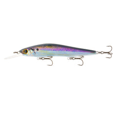 Live Gizzard Flash