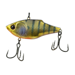 Golden Gill