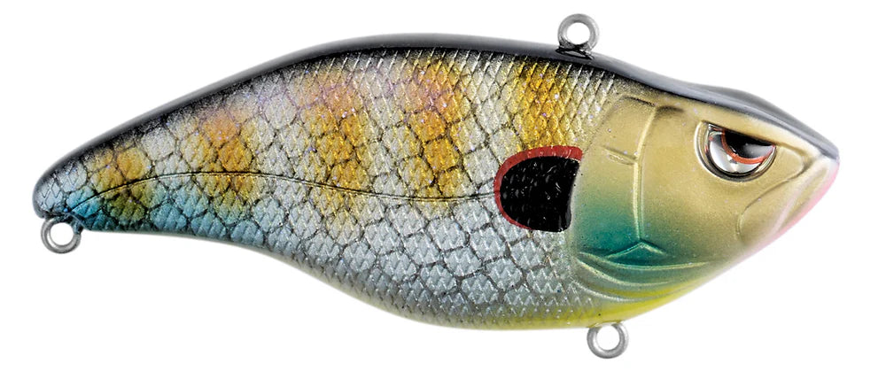 Aruku Shad