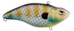 Blue Gill