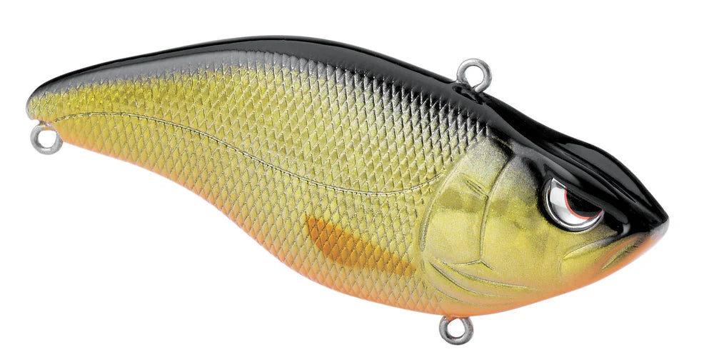 Aruku Shad