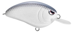 Lavender Shad