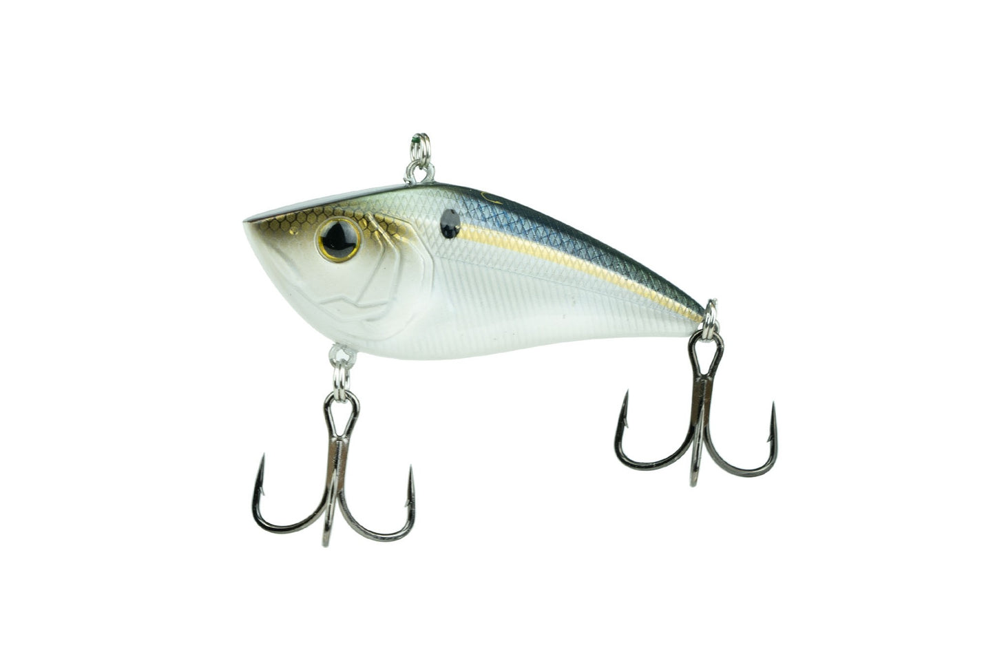 Snatch 70X - Threadfin Shad