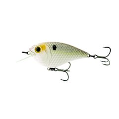 Wild Shad